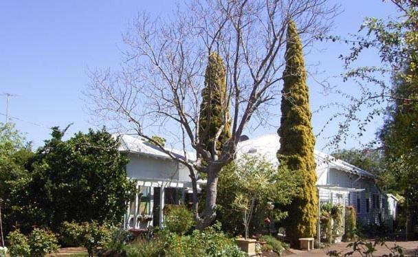 Jacaranda Guest House Busselton Esterno foto