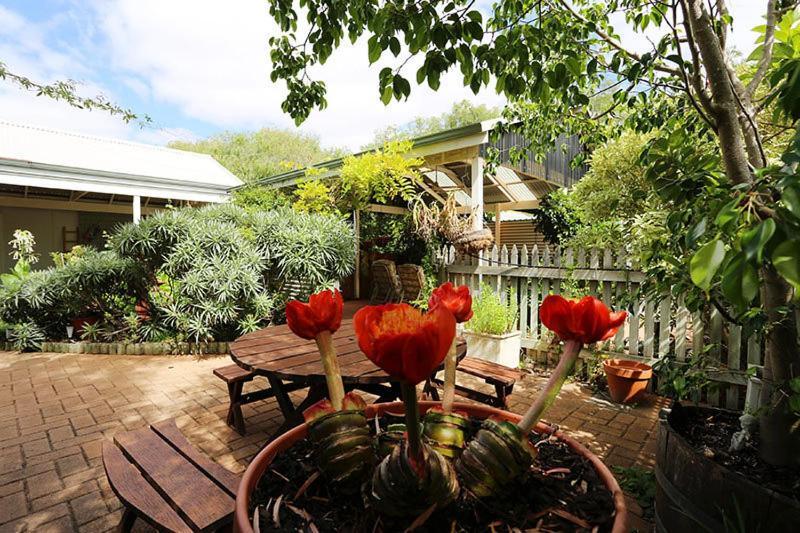 Jacaranda Guest House Busselton Esterno foto
